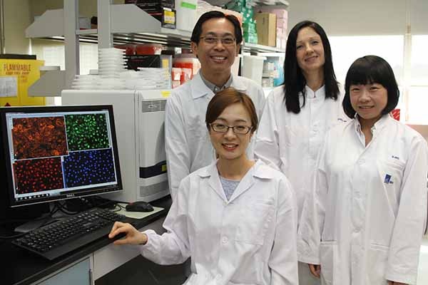 Singapore researchers develop the world’s first cellular imaging platform for predicting the toxicity of compounds to the kidney