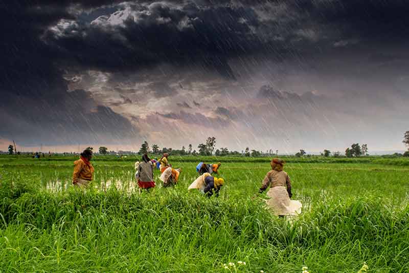 Indian Agriculture Ministry to geo tag agricultural assets through collaboration with space agency