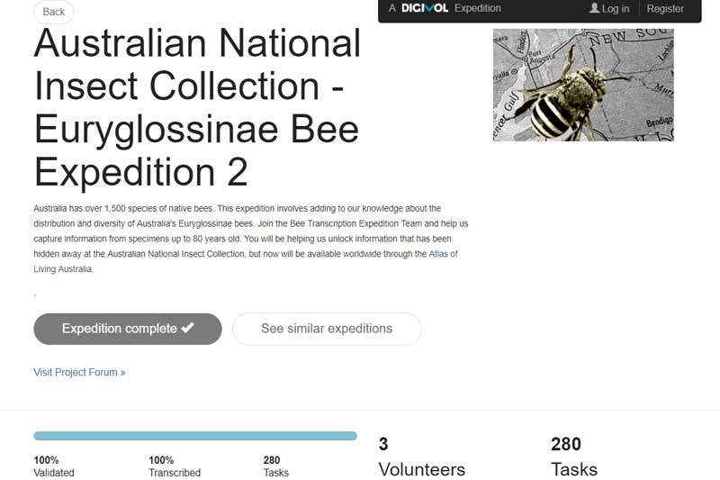 Citizen scientists helping CSIRO digitise Australian bee collection through online volunteering portal
