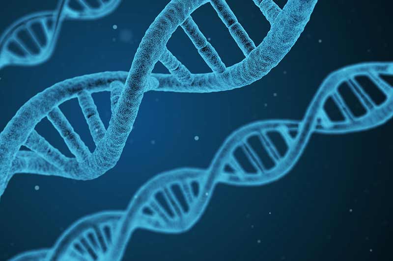 New Zealand government investing 35 million Dollars in collaborative genomics research platform