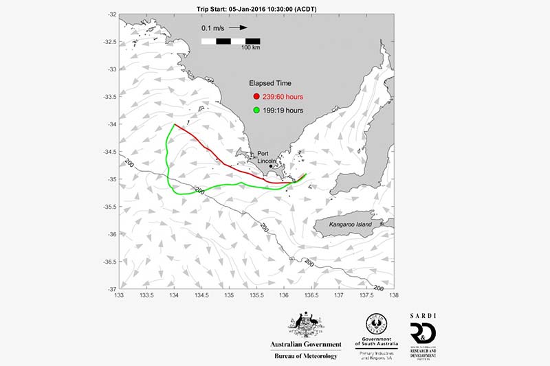 South Australian Government research institute develops mapping system to forecast ocean currents in real-time and high resolution