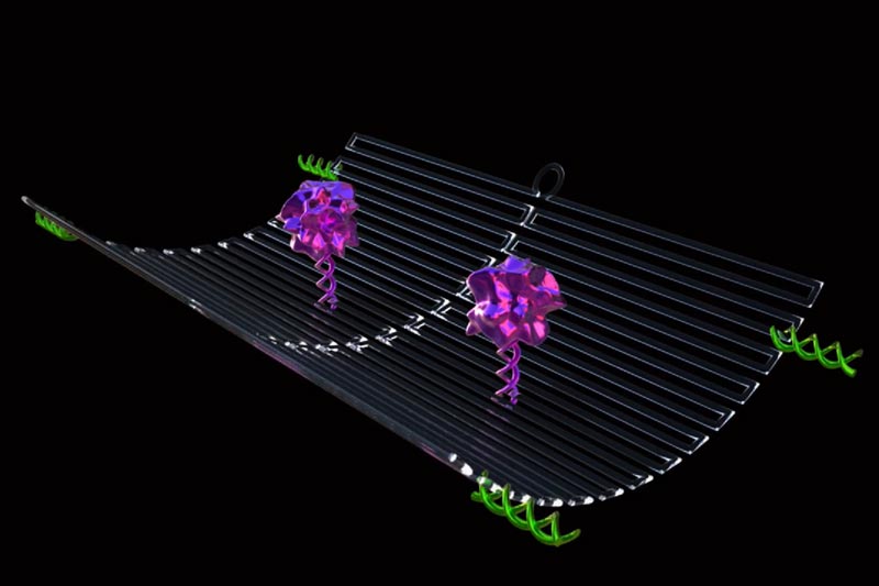First fully autonomous DNA nanorobots attack cancer tumours by cutting off blood supply