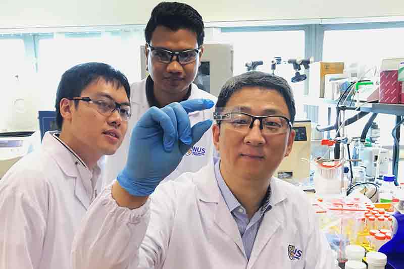 NUS scientists develop novel microfluidic chip for fast