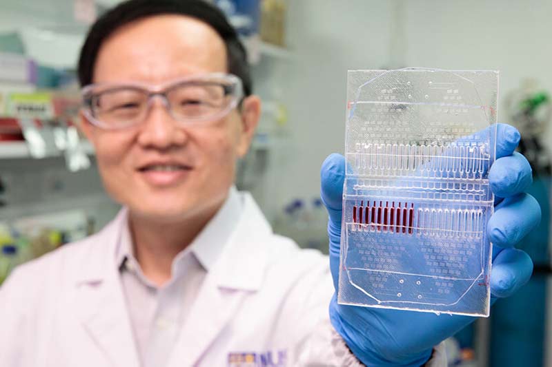 NUS develops cancer cell culture test kit for personalised