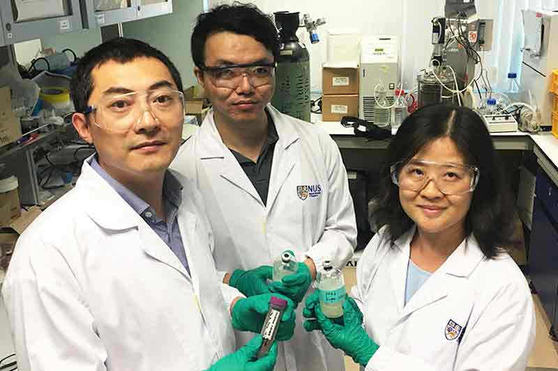 Singapore engineers discover greener and cheaper technique for biofuel production