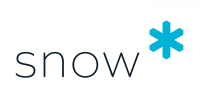 Snow Software website